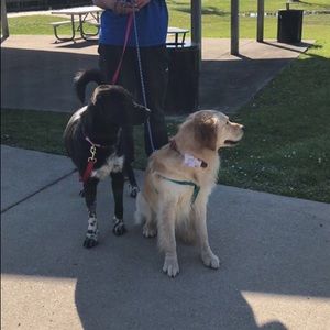 Meet your Posher, Mariah